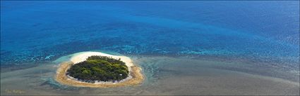 Wilson Island - QLD (PBH4 00 18447)